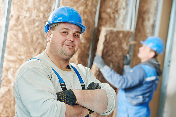 Best Insulation Maintenance and Repair in Cartervle, IL
