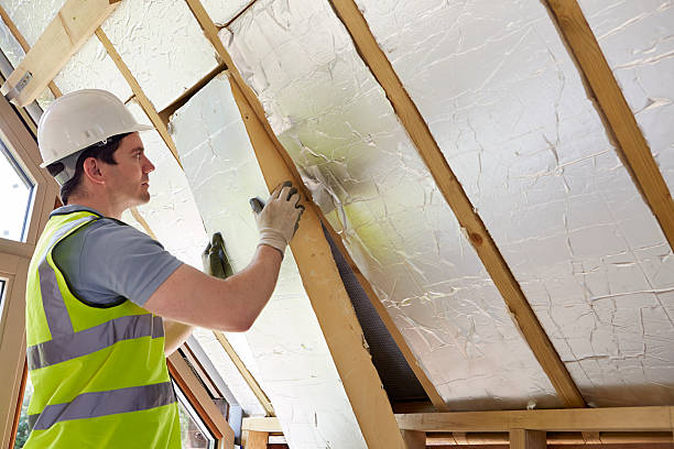 Best Insulation Materials and Products in Cartervle, IL