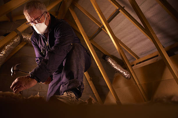 Best Residential Insulation in Cartervle, IL