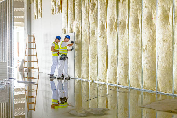 Best Commercial Insulation in Cartervle, IL